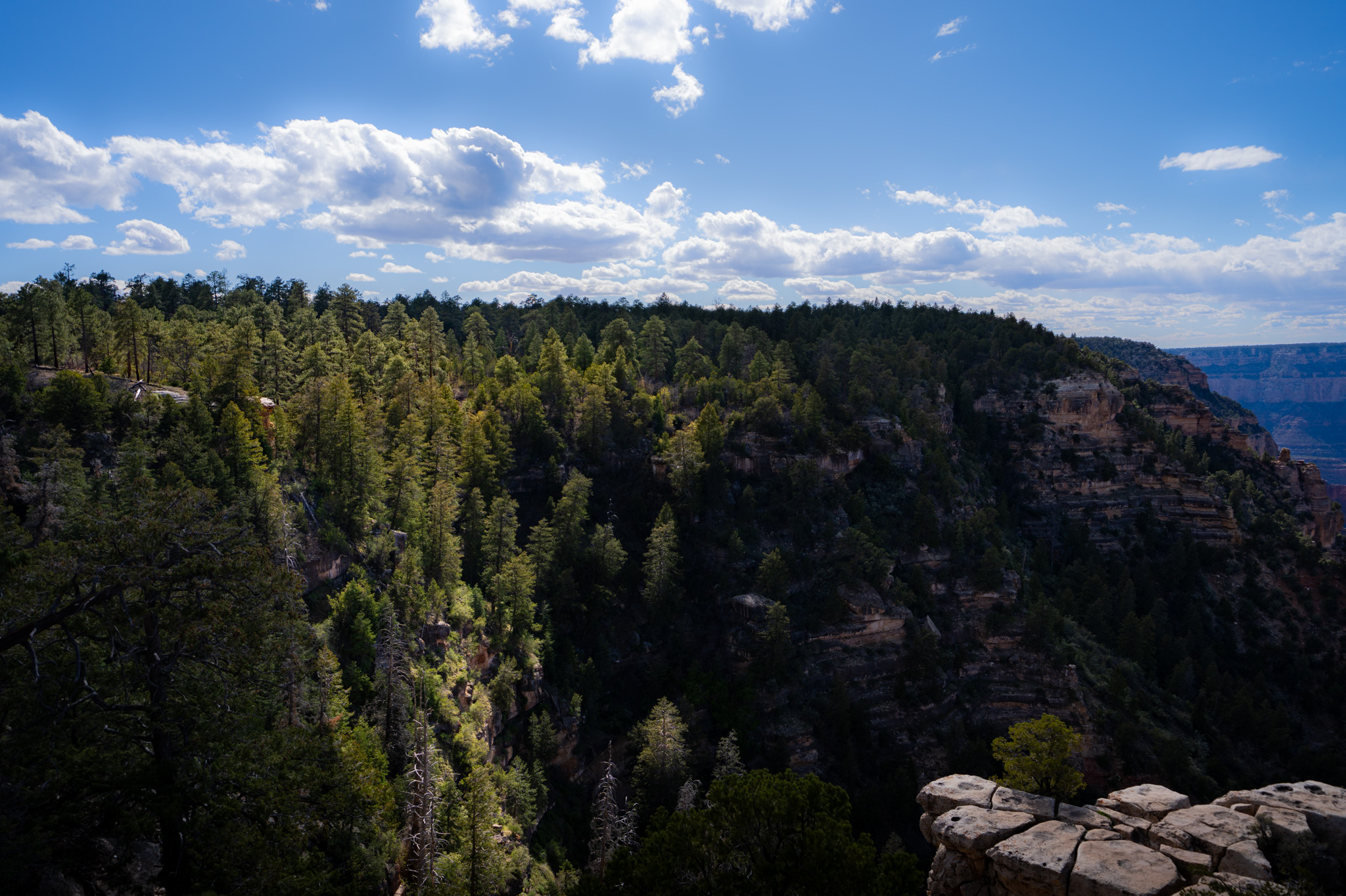 Grand Canyon photograph 03